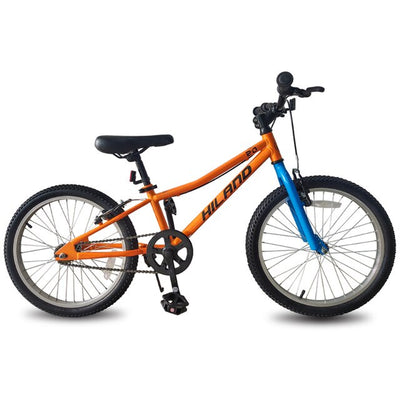 20 Inch Kids Bicycle 